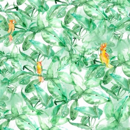 FINDS PARROTS 4800074